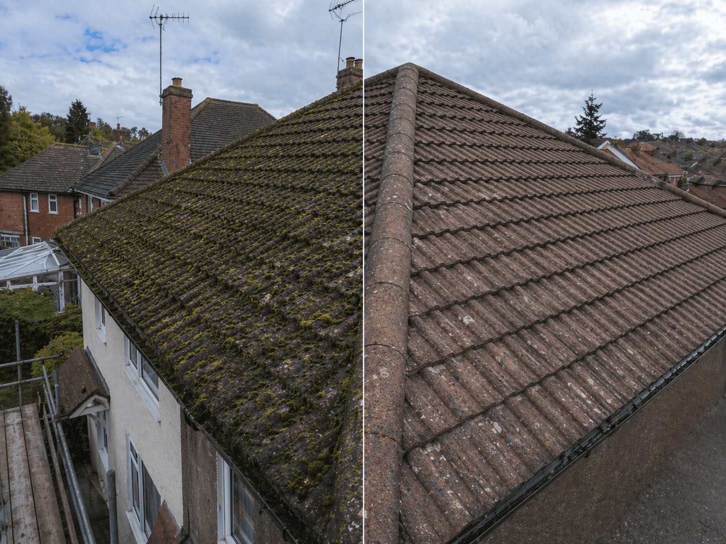 How Much Does Moss Removal Cost? UK Price Guide 2025